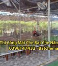 Bạt Che Mái Che Phú Lê
